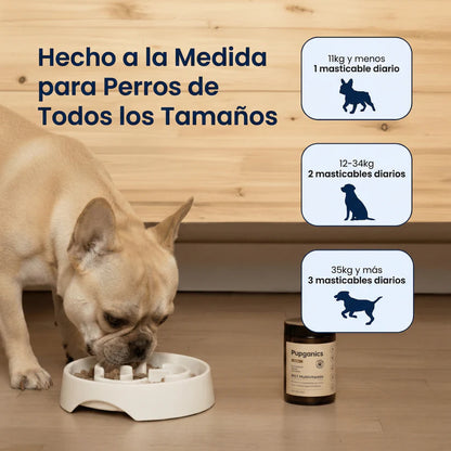 Gomitas de Apoyo Articular Pupganics™